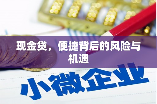 青山现金贷，便捷背后的风险与机遇