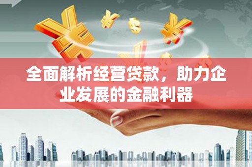 青山全面解析经营贷款，助力企业发展的金融利器