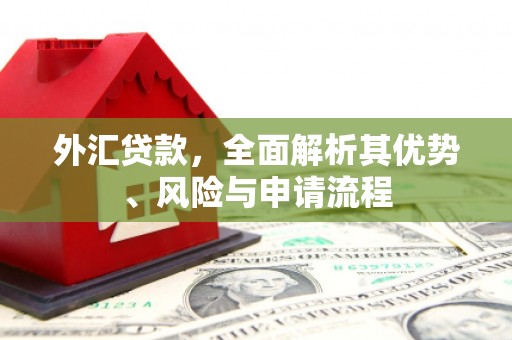 青山外汇贷款，全面解析其优势、风险与申请流程