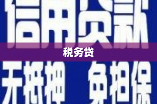 青山税务贷