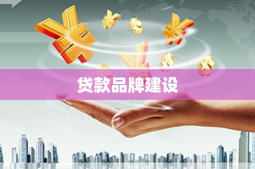 青山贷款品牌建设