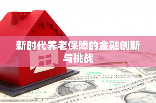 青山新时代养老保障的金融创新与挑战