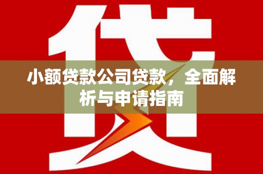 青山小额贷款公司贷款，全面解析与申请指南