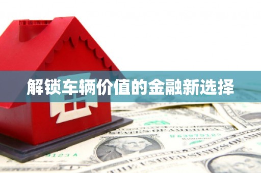 青山解锁车辆价值的金融新选择