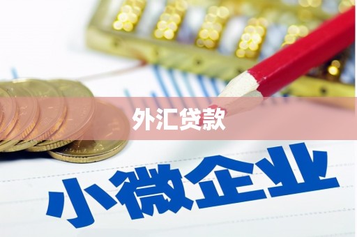 青山外汇贷款