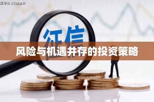 青山风险与机遇并存的投资策略