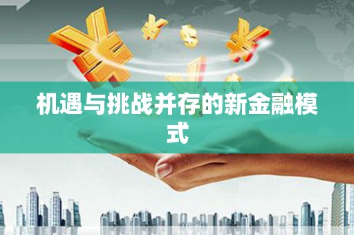 青山机遇与挑战并存的新金融模式