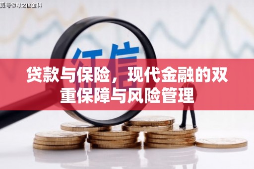 青山贷款与保险，现代金融的双重保障与风险管理
