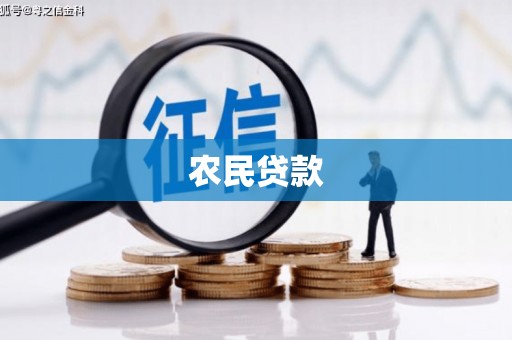青山农民贷款