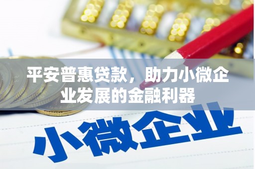 青山平安普惠贷款，助力小微企业发展的金融利器