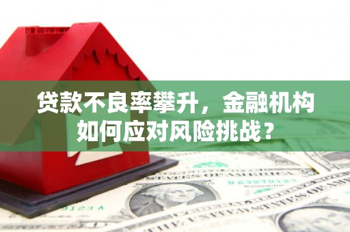 青山贷款不良率攀升，金融机构如何应对风险挑战？