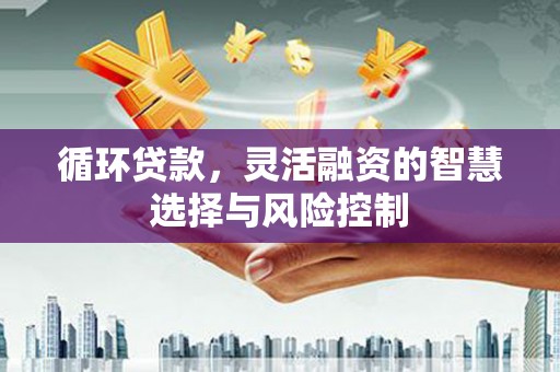 青山循环贷款，灵活融资的智慧选择与风险控制