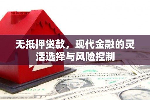 青山无抵押贷款，现代金融的灵活选择与风险控制