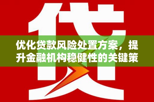 青山优化贷款风险处置方案，提升金融机构稳健性的关键策略