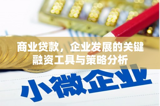 青山商业贷款，企业发展的关键融资工具与策略分析