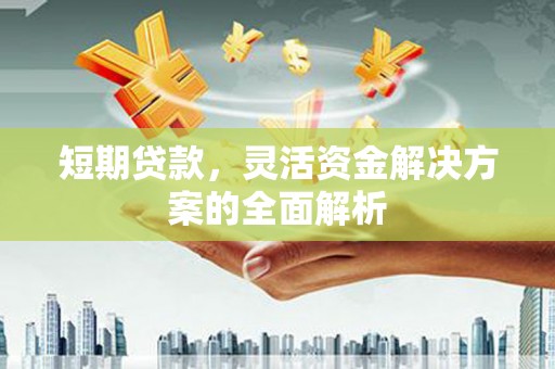 青山短期贷款，灵活资金解决方案的全面解析