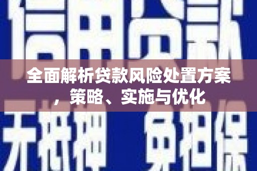青山全面解析贷款风险处置方案，策略、实施与优化
