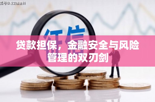 青山贷款担保，金融安全与风险管理的双刃剑