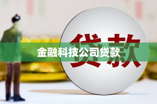 青山金融科技公司贷款
