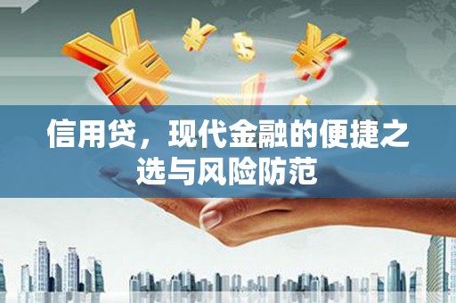 青山信用贷，现代金融的便捷之选与风险防范