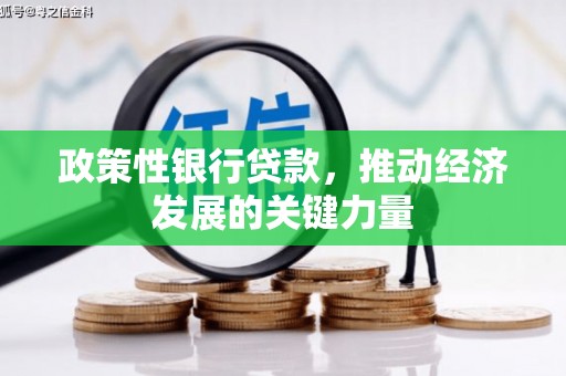 青山政策性银行贷款，推动经济发展的关键力量