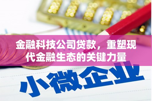 青山金融科技公司贷款，重塑现代金融生态的关键力量