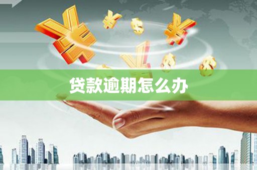 青山贷款逾期怎么办