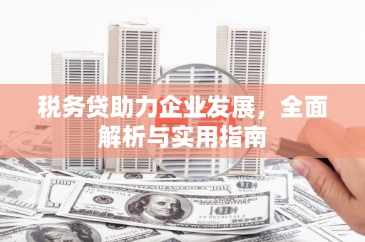 青山税务贷助力企业发展，全面解析与实用指南