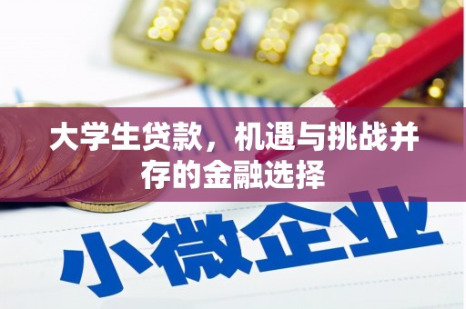 青山大学生贷款，机遇与挑战并存的金融选择