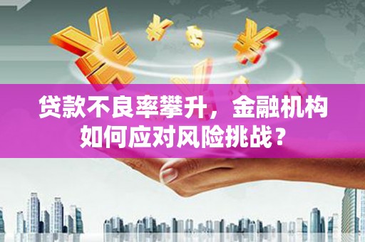 青山贷款不良率攀升，金融机构如何应对风险挑战？