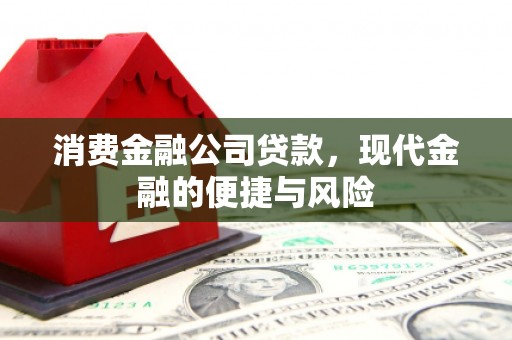 青山消费金融公司贷款，现代金融的便捷与风险