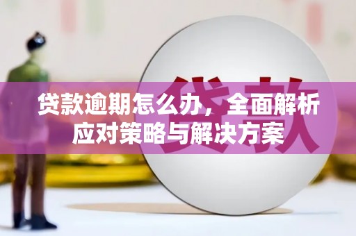青山贷款逾期怎么办，全面解析应对策略与解决方案