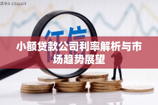 青山小额贷款公司利率解析与市场趋势展望