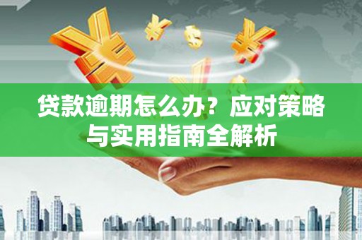 青山贷款逾期怎么办？应对策略与实用指南全解析