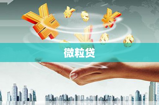 青山微粒贷