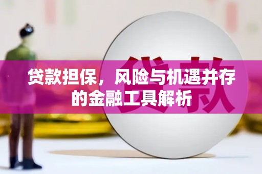 青山贷款担保，风险与机遇并存的金融工具解析