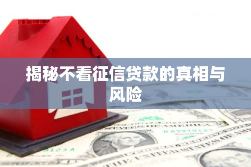 青山揭秘不看征信贷款的真相与风险
