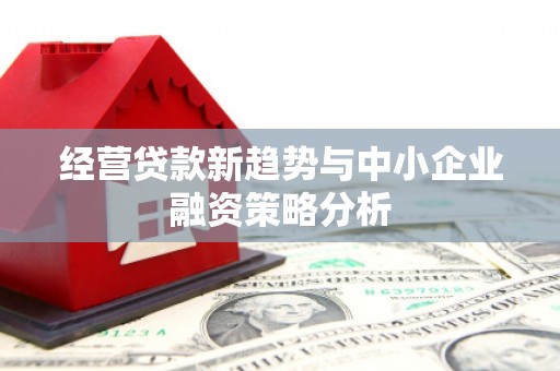 青山经营贷款新趋势与中小企业融资策略分析