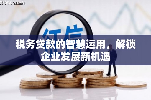 青山税务贷款的智慧运用，解锁企业发展新机遇